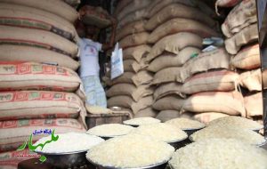 آمادگی تعاون روستایی گیلان برای خرید محصولات کشت اول و دوم