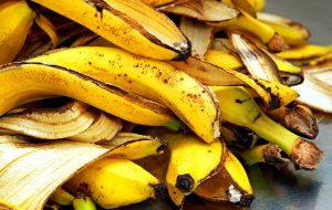 تبدیل پوست موز به انرژی پاک!