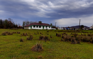 احداث چمن مصنوعی در قلب یک اختلاف قدیمی!