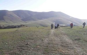 جاده دایله سر در انتظار همت مسئولان